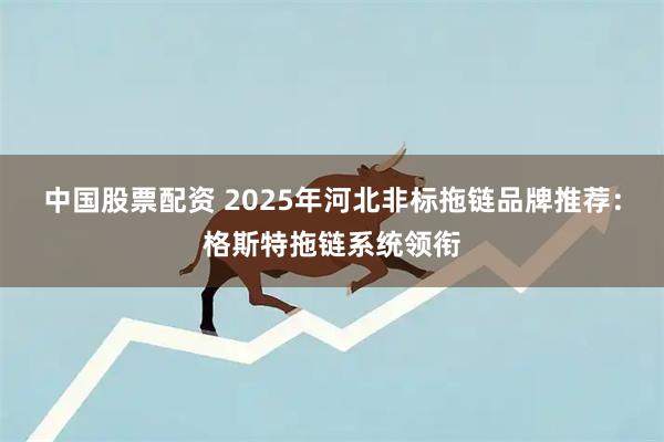 中国股票配资 2025年河北非标拖链品牌推荐：格斯特拖链系统领衔