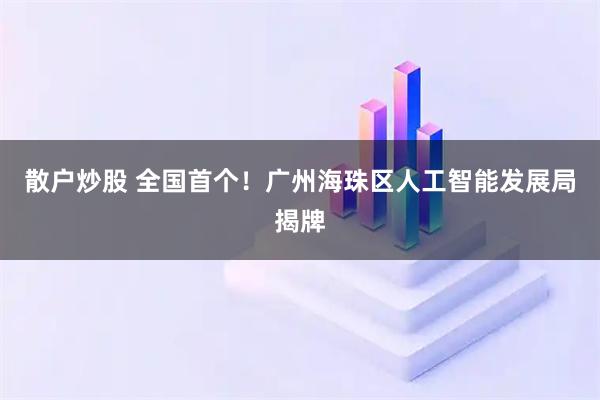 散户炒股 全国首个！广州海珠区人工智能发展局揭牌